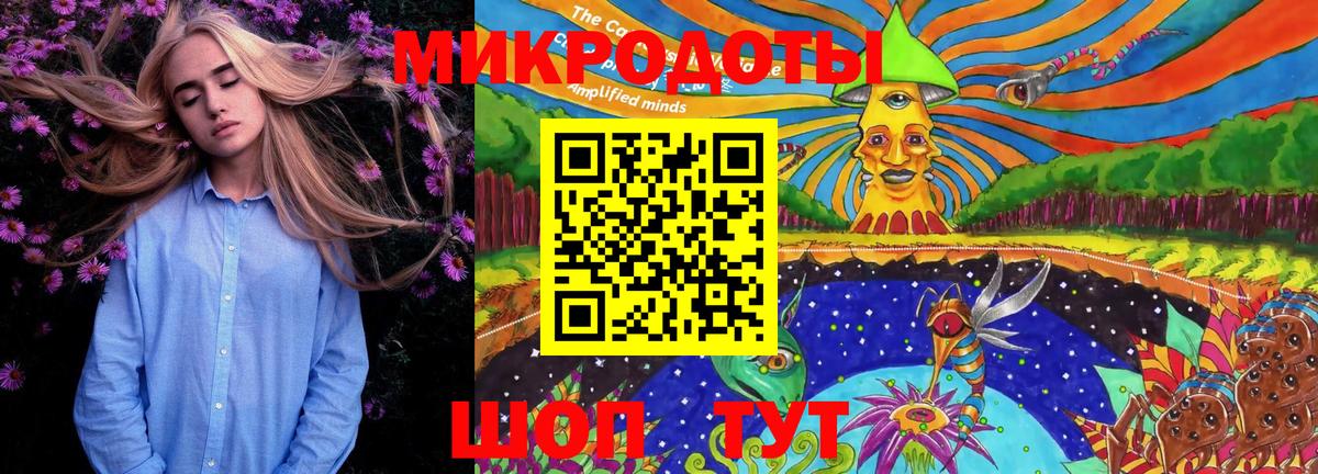 Галлюциногенные грибы Magic Shrooms Каспийск