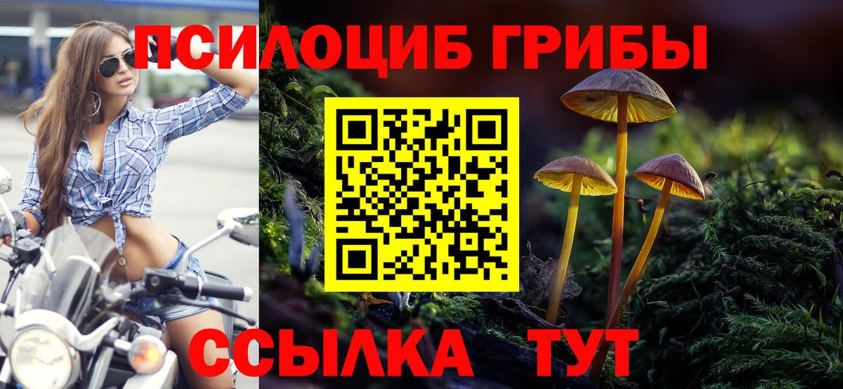 Каспийск  Псилоцибиновые грибы GOLDEN TEACHER  Вход с VPN 